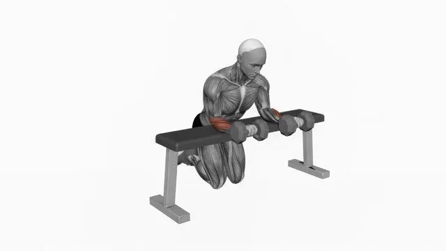 Dumbbell Over Bench Wrist Curl (2)