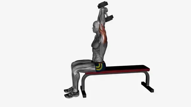 dumbbell overhead extension seated (2)