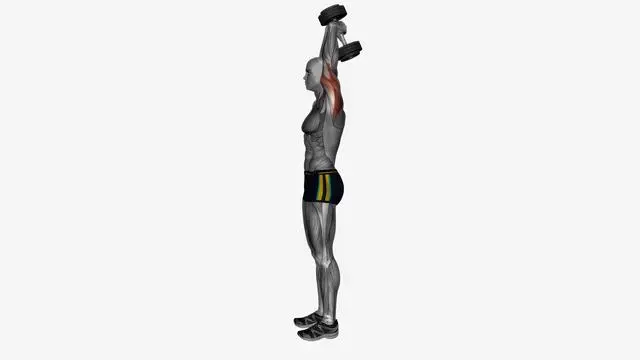 dumbbell overhead extension standing (2)