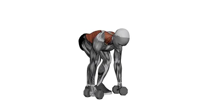 Dumbbell Pendlay Row (1)