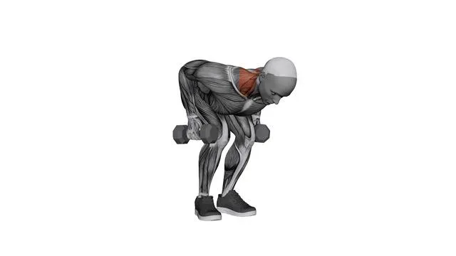 Dumbbell Pendlay Row (2)