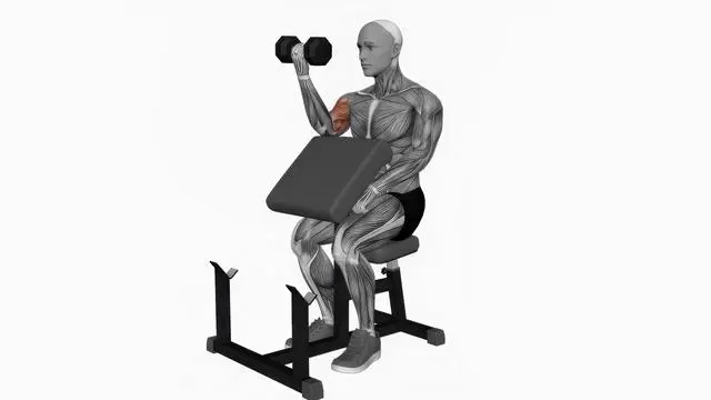 Dumbbell Preacher Curl (2)
