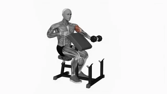 Dumbbell Preacher Curl (3)