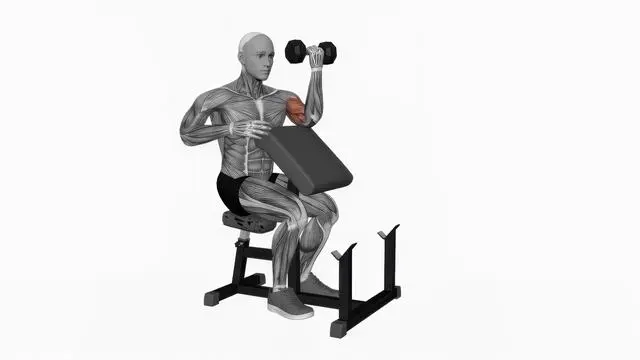 Dumbbell Preacher Curl (4)