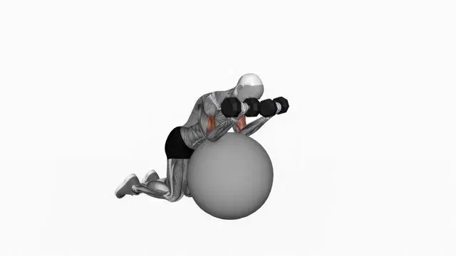 Dumbbell Preacher Curl over Exercise Ball (2)