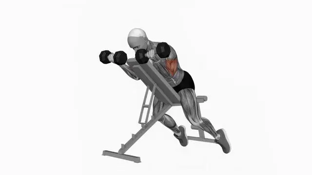 Dumbbell Prone Incline Curl (2)