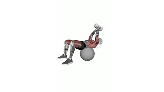 Dumbbell Pullover (4)