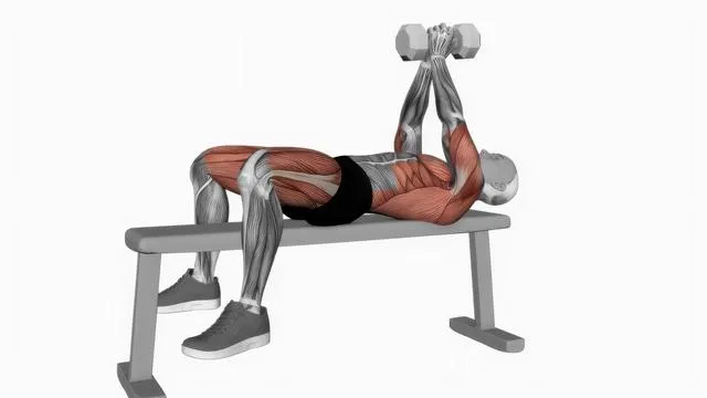 Dumbbell Pullover (6)