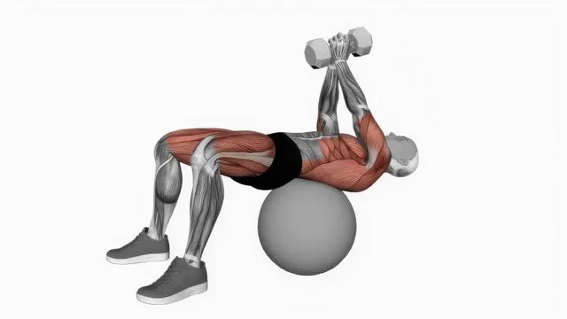 Dumbbell Pullover (8)