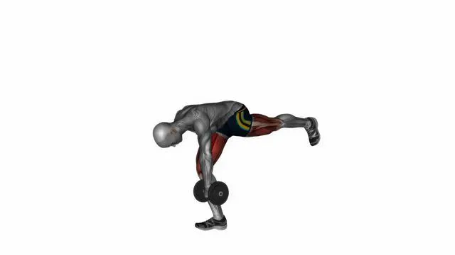 Dumbbell rdl stretch isometric (2)