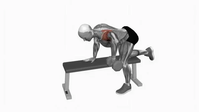 Dumbbell Rear Delt Row (2)