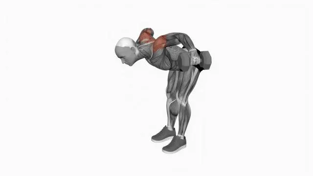 Dumbbell Rear Lateral Raise (2)