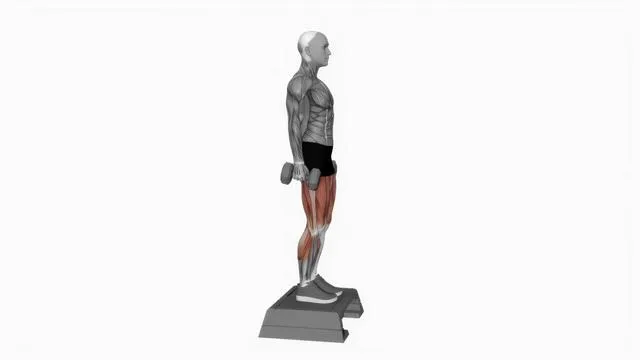 Dumbbell Rear Lunge (3)