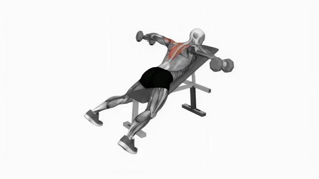 Dumbbell Reverse Fly (2)