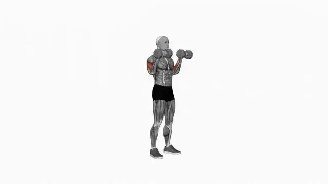 Dumbbell Reverse grip Biceps Curl (2)