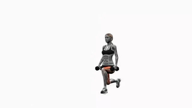 Dumbbell reverse lunge on the spot (2)