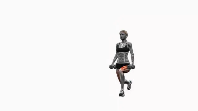 Dumbbell reverse lunges pulses (2)