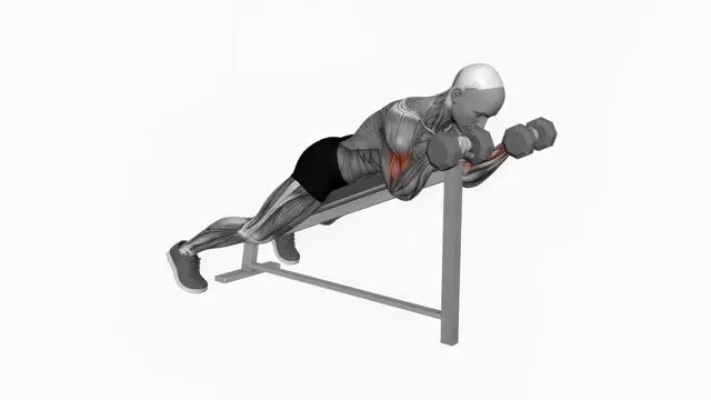 Dumbbell Reverse Spider Curl (2)