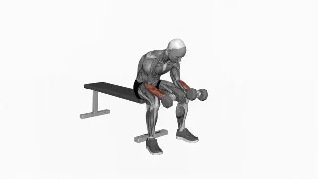 Dumbbell Reverse Wrist Curl (2)