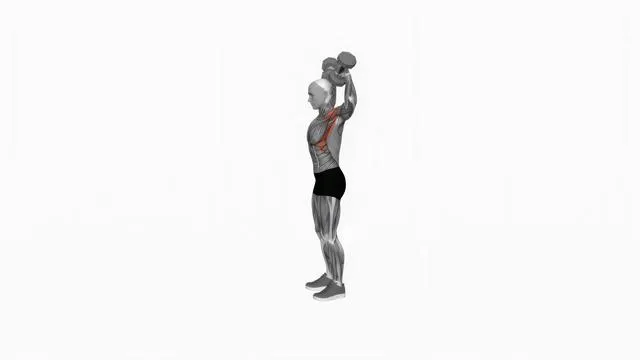 Dumbbell Scott Press (2)
