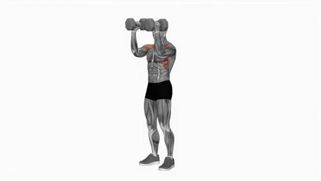 Dumbbell Scott Press (3)