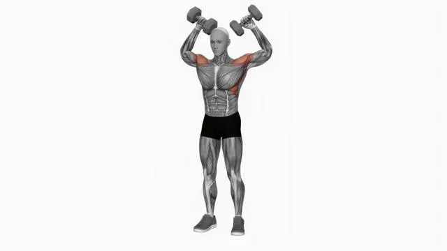 Dumbbell Scott Press (4)