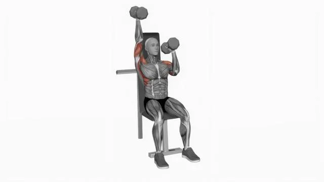 Dumbbell Seated Alternate Press (2)