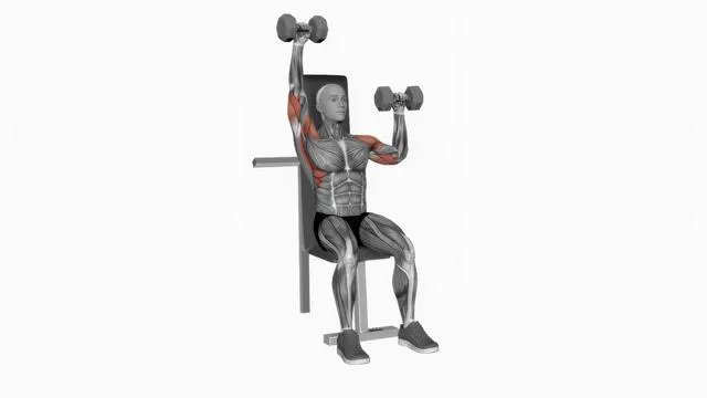 Dumbbell Seated Alternate Shoulder Press (2)
