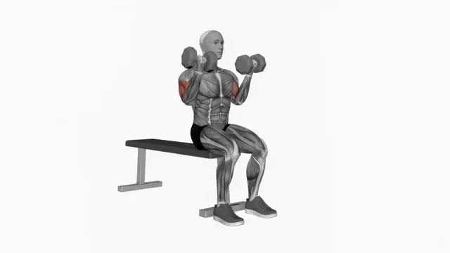 Dumbbell Seated Curl (2)