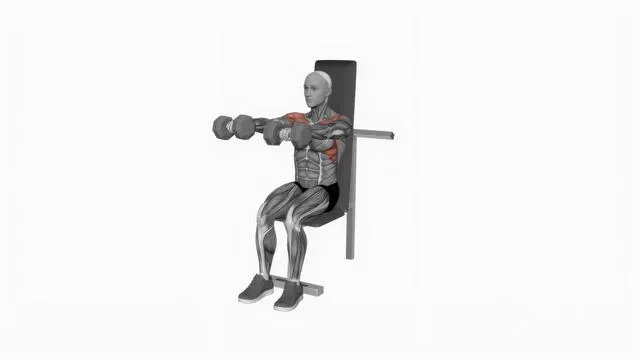 Dumbbell Seated Front Raise (2)
