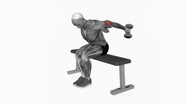 Dumbbell Seated Kickback (2)