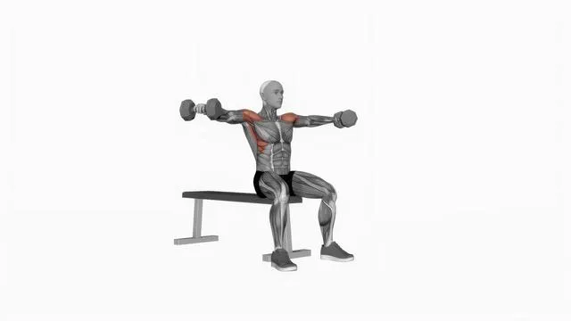 Dumbbell Seated Lateral Raise (2)