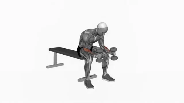 Dumbbell Seated Neutral Wrist Curl (2)