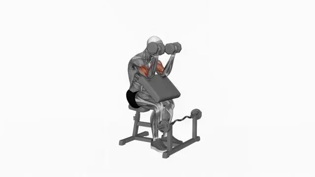 Dumbbell Seated Preacher Curl (2)