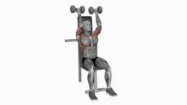 Dumbbell Seated Reverse Close Grip Press (2)