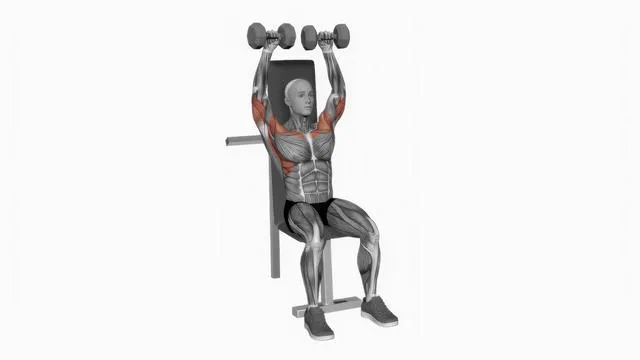 Dumbbell Seated Shoulder Press (2)