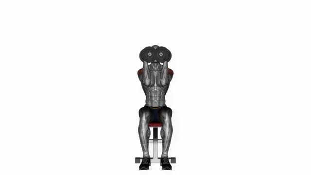 Dumbbell Seated Shoulder Press (3)