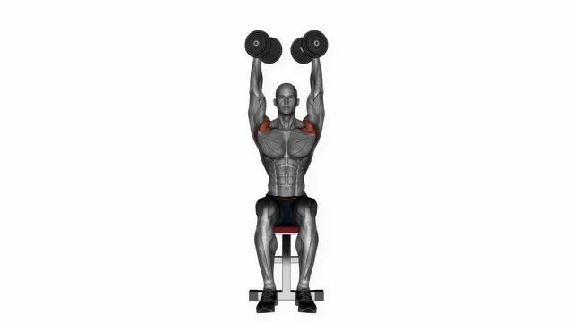 Dumbbell Seated Shoulder Press (4)