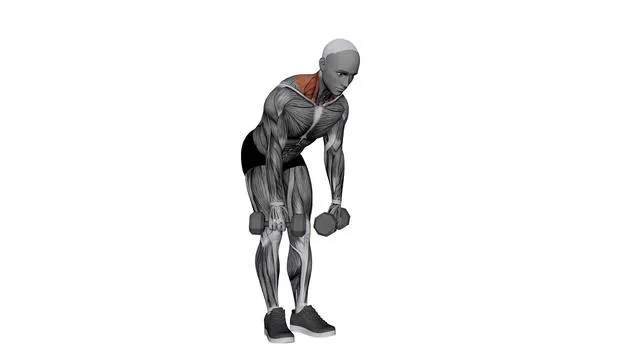 Dumbbell Silverback Shrug (1)