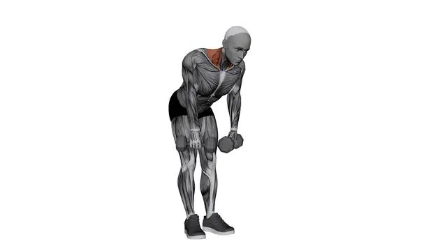 Dumbbell Silverback Shrug (2)