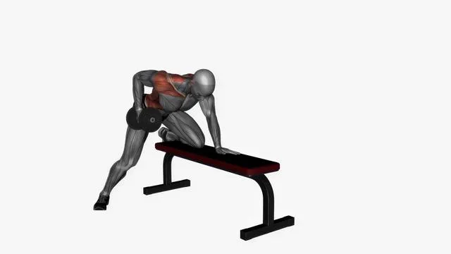 Dumbbell single arm row (2)