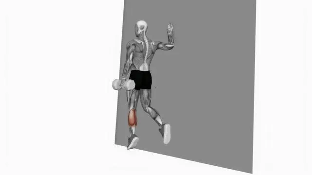 Dumbbell Single Leg Calf Raise Wall Support (2)