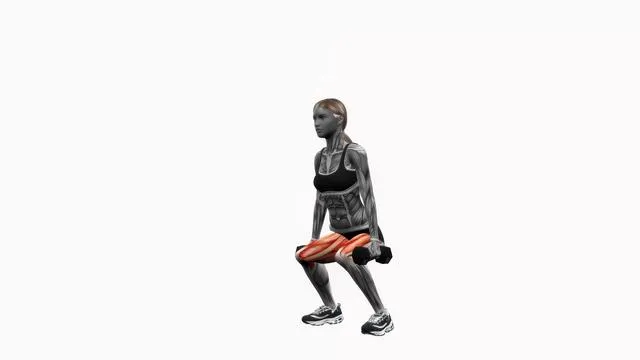 Dumbbell squats (2)