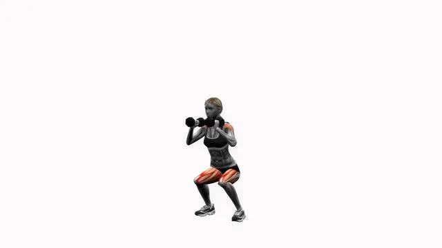Dumbbell squats (3)