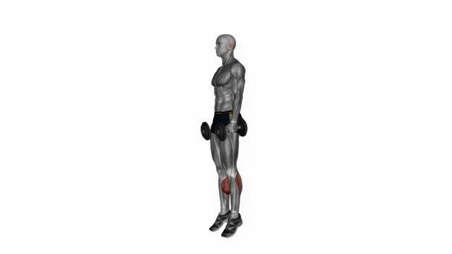 Dumbbell standing calf raise (2)