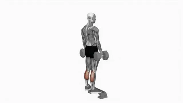 Dumbbell standing calf raise (3)