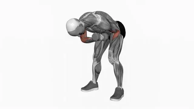 Dumbbell Standing Concentration Curl (2)
