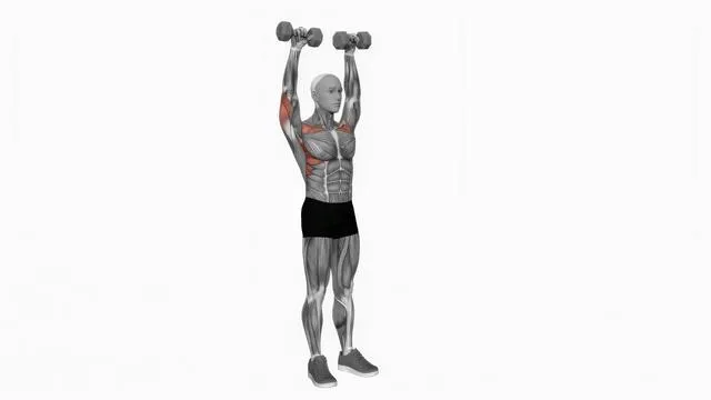 Dumbbell Standing Curl Arnold Press (2)
