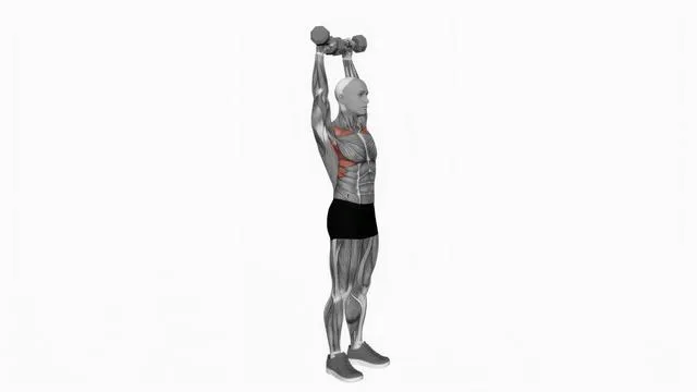 Dumbbell Standing Front Raise Above Head (2)