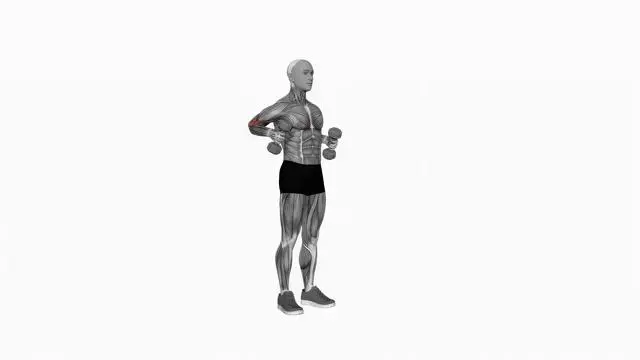Dumbbell Standing Hammer Drag Curl (2)
